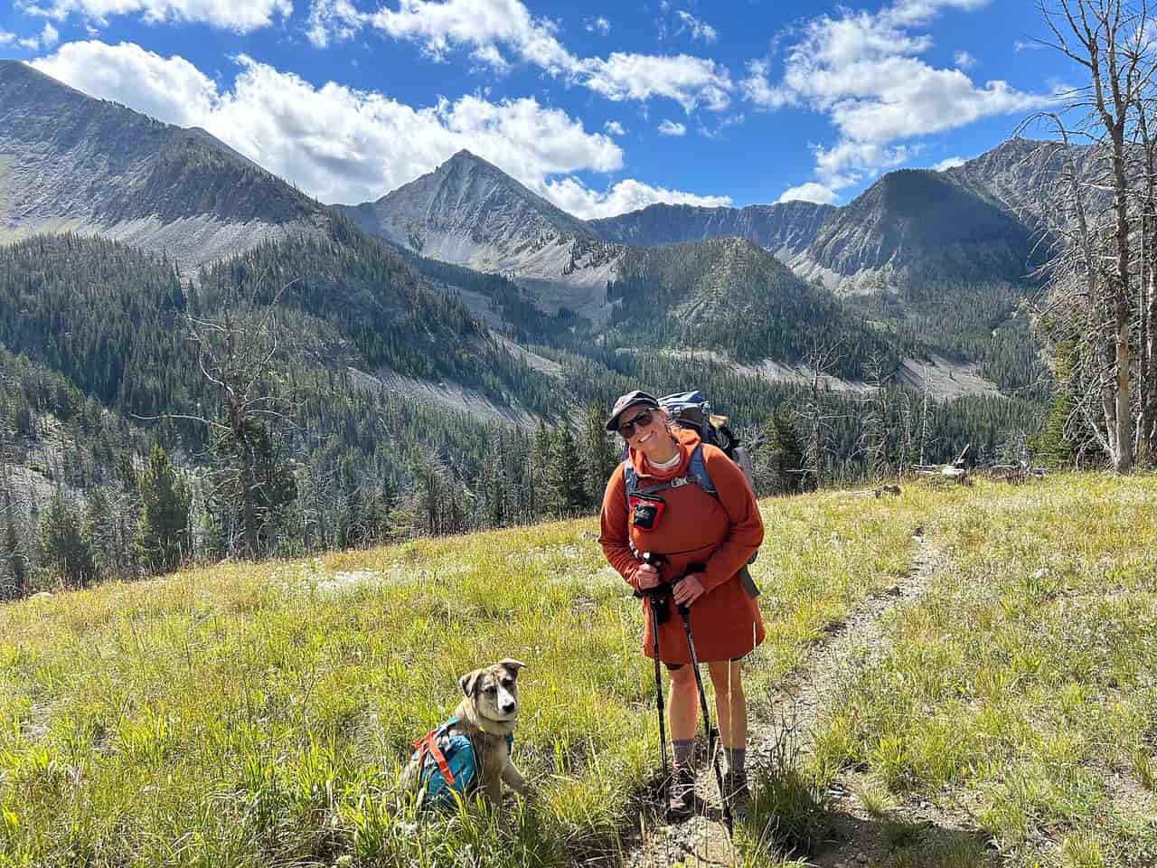 A dog on a hiking trail beside its owner's pack