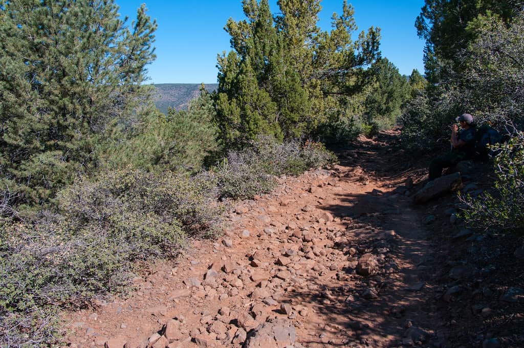 A water bottle resting on a rock with a trail view behind