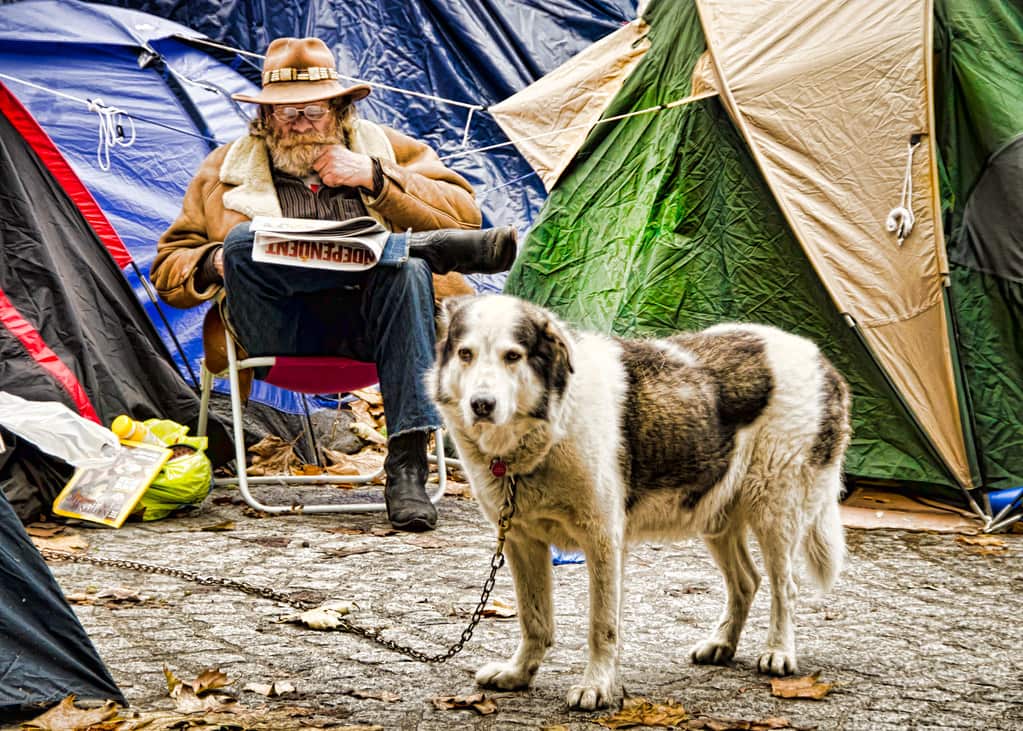 A dog lying on a mat beside a tent at a campsite